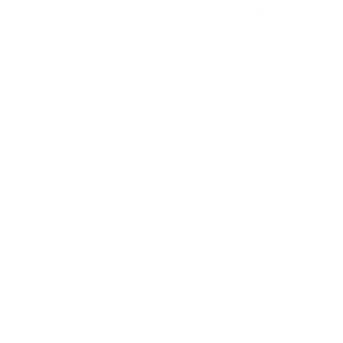Stoat icon