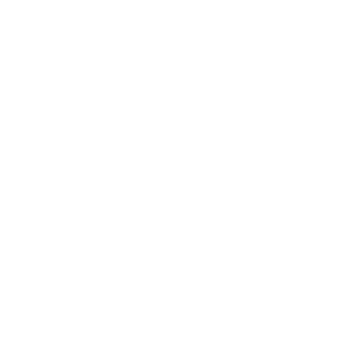 Netatmo Security icon