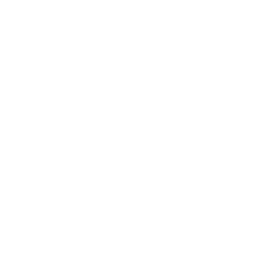 M2M Services M2M Services