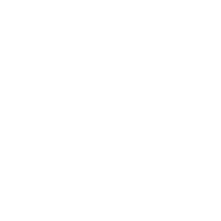 Netlify icon