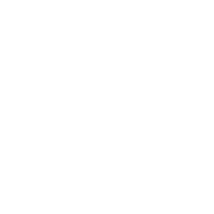 RACER