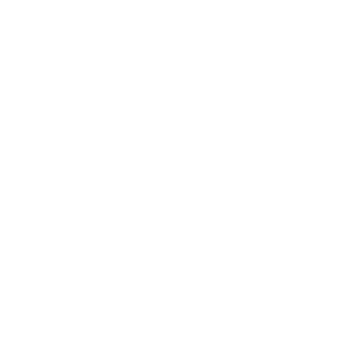Panasonic MirAIe