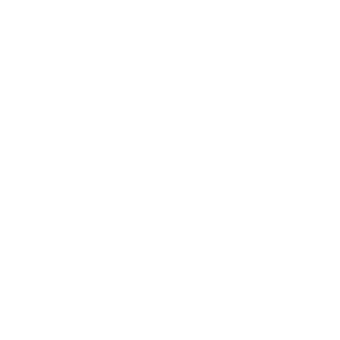Automatic Classic