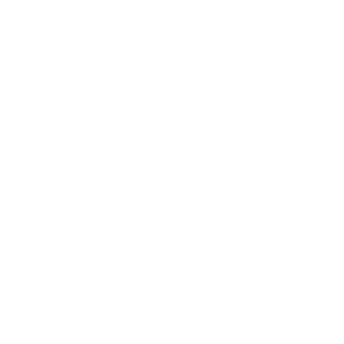 eBird icon