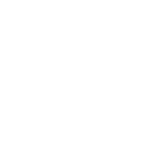 Android Device: Connects to any WiFi network.