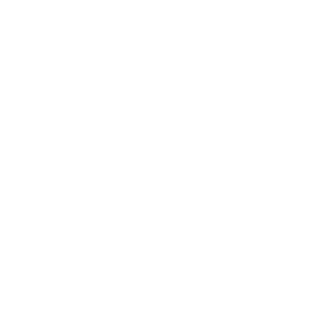 intelligent HOME intelligent HOME