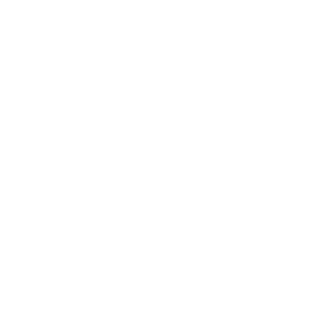 Button widget Button widget