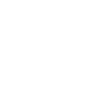 ElevenLabs icon