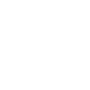 MBX Flow icon