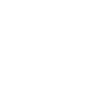 Formula 1 