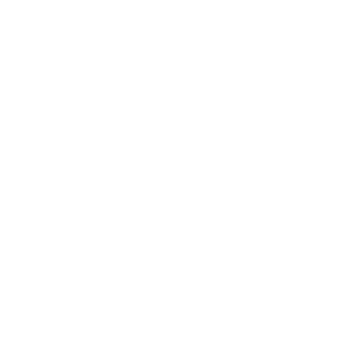 Perplexity icon