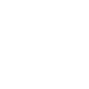 Todoist Todoist
