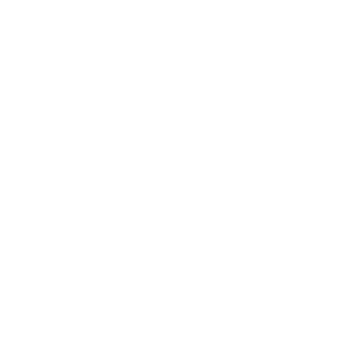 WeMo Light Switch