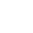 WeMo Light Switch icon