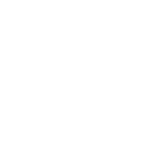 YNAB (You Need A Budget) icon