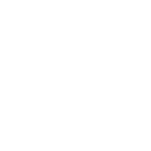 Reolink icon