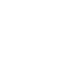 X-House smart home