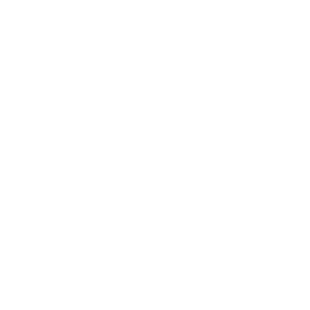 Printful icon