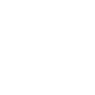 Home Depot Home Depot