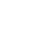 sendSMS icon