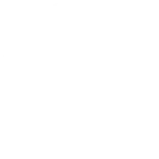 Placid Generate image from template.