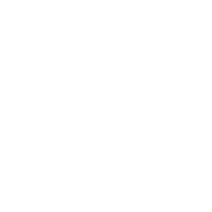 Printify icon