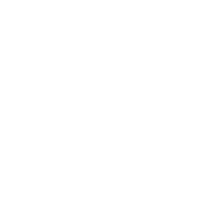 Agile Octopus