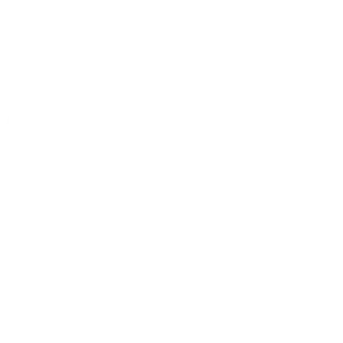 Financial Audit with Caleb Hammer