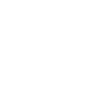 Sapling icon
