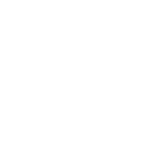 HomeSeer HomeSeer