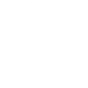 Steam icon
