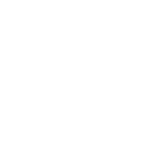 TiVo TiVo