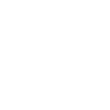 Shopify icon