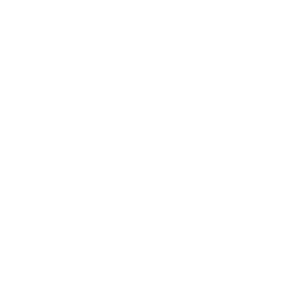 eventbrite logo transparent