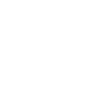 Cloudflare icon