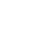 SEG.Smart Door icon