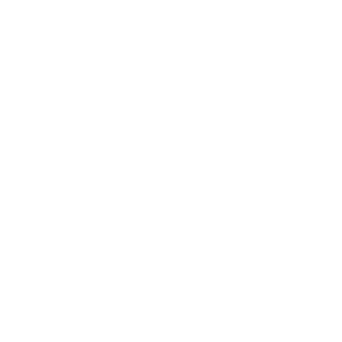 TripAdvisor icon