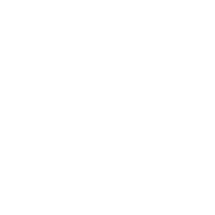 Gemini icon