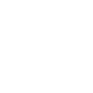 Arlo Arlo