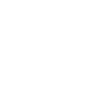WooCommerce icon