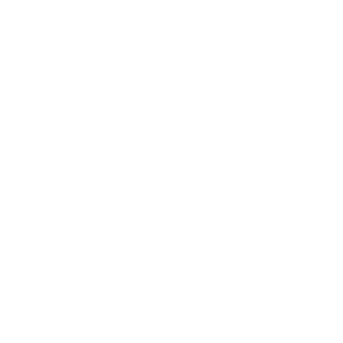 NIU NIU