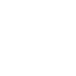 SimCam icon