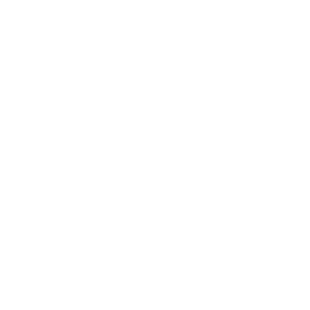 Metronet