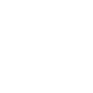 BambooHR icon