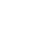 Taylor Swift icon