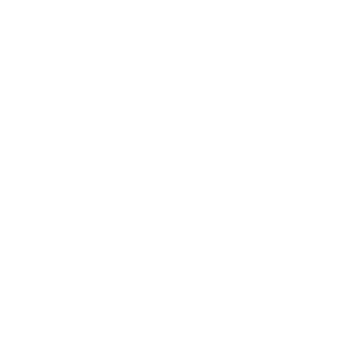 Leonardo AI icon