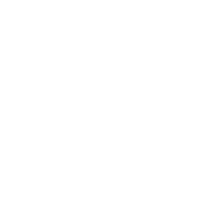 Nest Cam Nest Cam
