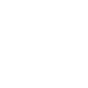 Brilliant Nexus