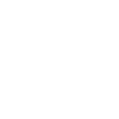 Discord icon