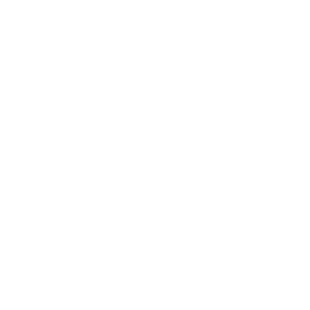 Temp Stick